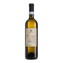 'CENATIEMPO VINI D''ISCHIA sas FORASTERA ISCHIA-Cenatiempo 2023'