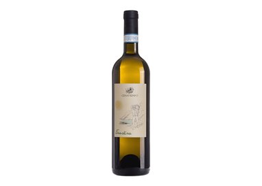 'CENATIEMPO VINI D''ISCHIA sas FORASTERA ISCHIA-Cenatiempo 2023'
