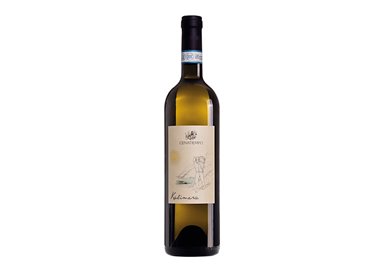 'CENATIEMPO VINI D''ISCHIA sas Kalimera BIANCOLELLA ISCHIA-Cenatiempo 2021'