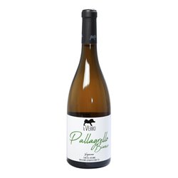 IL VERRO Azienda Agricola Srl PALLAGRELLO BIANCO Verginiano ..-Il Verro 2023
