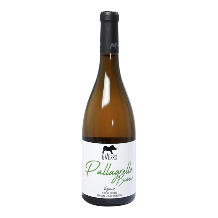 IL VERRO Azienda Agricola Srl PALLAGRELLO BIANCO Verginiano ..-Il Verro 2023 IL VERRO Azienda Agricola Srl PALLAGRELLO BIANCO Verginiano ..-Il Verro 2023