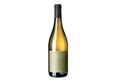 TRAERTE srl - Vadiaperti E  FALANGHINA-Vadiaperti 2022