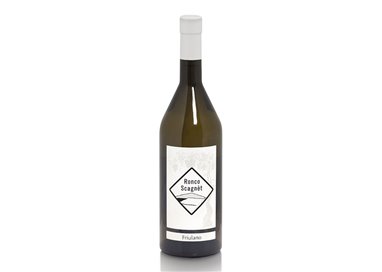RONCO SCAGNET di Cozzarolo Valter & C.  FRIULANO COLLIO-Ronco Scagnet 2023