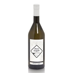 RONCO SCAGNET di Cozzarolo Valter & C.  PINOT GRIGIO COLLIO-Ronco Scagnet 2023
