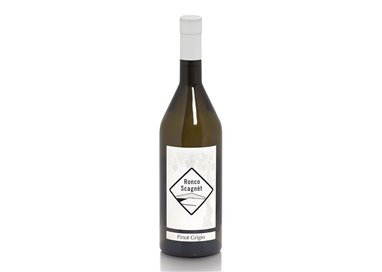 RONCO SCAGNET di Cozzarolo Valter & C.  PINOT GRIGIO COLLIO-Ronco Scagnet 2023