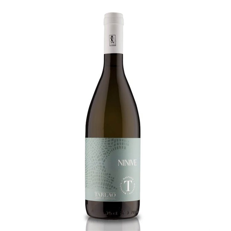 TARLAO Azienda Agricola REFOSCO DAL PEDUNCOLO ROSSO TERRE DI AQUILEIA 2023 TARLAO Azienda Agricola REFOSCO DAL PEDUNCOLO ROSSO TERRE DI AQUILEIA 2023