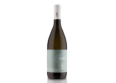 TARLAO Azienda Agricola REFOSCO DAL PEDUNCOLO ROSSO TERRE DI AQUILEIA 2023
