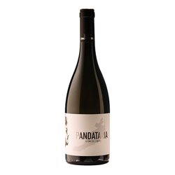 CANDIDATERRA Azienda Agricola di Luigi Sportiello PANDATARIA Il Vino del Confino-Candidaterra 2023
