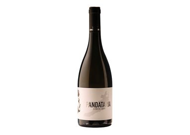 CANDIDATERRA Azienda Agricola di Luigi Sportiello PANDATARIA Il Vino del Confino-Candidaterra 2023