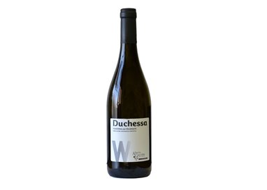 GIACOBBE ALBERTO Azienda Agricola Duchessa PASSERINA DEL FRUSINATE-Giacobbe 2023