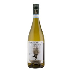 MOTTURA SERGIO Tappo Vite Tragugnano ORVIETO ..-Mottura 2023