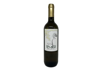 TENUTA DI PIETRA PORZIA Soc. Agricola Srl MALVASIA DEL LAZIO Semele-Tenuta di Pietra 2023