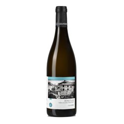 'CA'' DU FERRA'' Wine & Tasting BONAZOLAE Colline di Levanto-Ca'' du Ferra'' 2023'