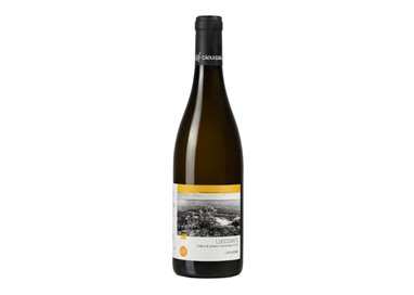 'CA'' DU FERRA'' Wine & Tasting LUCCICANTE VERMENTINO Colline di Levanto 2023'