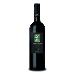 VALDAMONTE Azienda Agricola di Fiori Alberto FC  PINOT NERO VINIFICATO BIANCO Vivace-Albert 2023