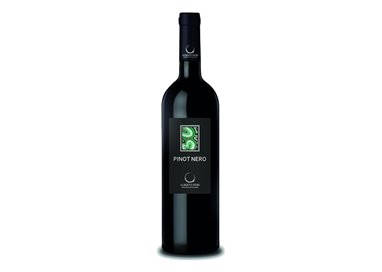 VALDAMONTE Azienda Agricola di Fiori Alberto FC  PINOT NERO VINIFICATO BIANCO Vivace-Albert 2023