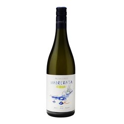 FATTORIA NANN Azienda Agricola di Cantori Roberto RIBONA COLLI MACERATESI Madrerata-Fattoria 2023