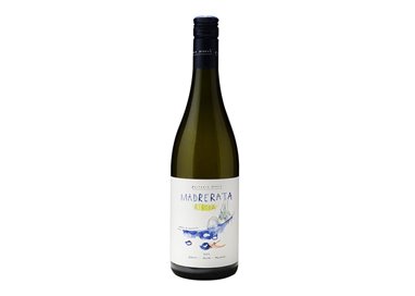 FATTORIA NANN Azienda Agricola di Cantori Roberto RIBONA COLLI MACERATESI Madrerata-Fattoria 2023
