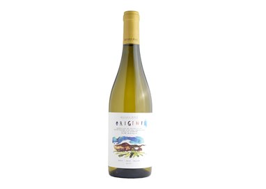 FATTORIA NANN Azienda Agricola di Cantori Roberto Origini VERDICCHIO DEI CASTELLI DI JESI CLASS 2022
