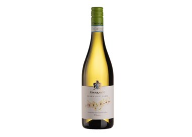 VIGNAMATO di Ceci Andrea Az.Agricola Terra delle Lame VERDICCHIO CASTELLI DI 2024