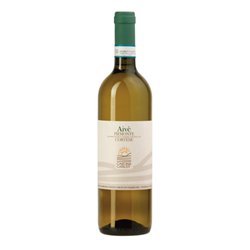 CASCINA CARLOT Az.Agr. di Mo Claudio CORTESE PIEMONTE Aive-Cascina Carlot 2023