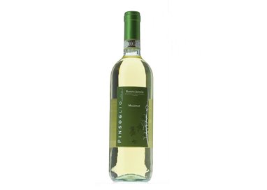 PINSOGLIO FABRIZIO Azienda Agricola ROERO ARNEIS Vigneto Malinat-Pinsogli 2023 0,375