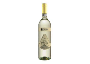 SILVA Azienda Agricola Vitivinicola Dry Ice ERBALUCE DI CALUSO-Silva 2023