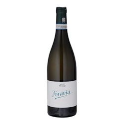 STELLA GIUSEPPE di Stella Massimo RIESLING Foravia-Stella 2022