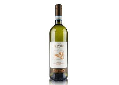 TERRABIANCA Azienda Agricola s.s.a.  LANGHE FAVORITA Quattro20-Terrabianca 2023