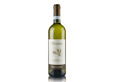 TERRABIANCA Azienda Agricola s.s.a.  E  LANGHE SAUVIGNON Mermota Tappo Vite 2024