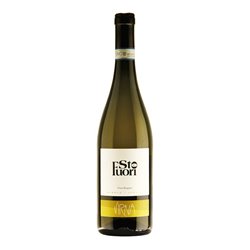 VIRNA ssa Azienda Agricola di Borgogno Virna LANGHE BIANCO Sto Fuori-Virna 2024