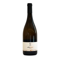 QUARTOMORO DI SARDEGNA snc sulle Bucce VERNACCIA ISOLA DEI NURAGHI 2023