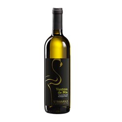 TANCA GIOIA CARLOFORTE srl Ventou de Ma VERMENTINO DI SARDEGNA-Tanca Gio 2023