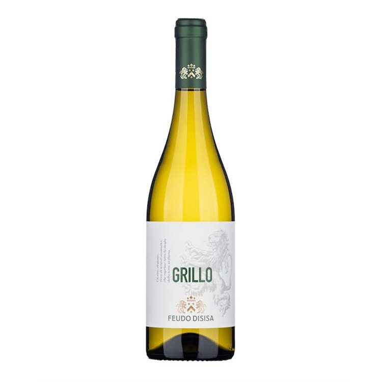 DISISA srl GRILLO-Disisa 2023 DISISA srl GRILLO-Disisa 2023