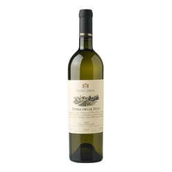 DISISA srl FIANO Terra delle Fate-Disisa 2022