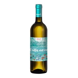 HIBISCUS di Longo Margherita ZIBIBBO Grotta dellÉOro-Hibiscus 2023