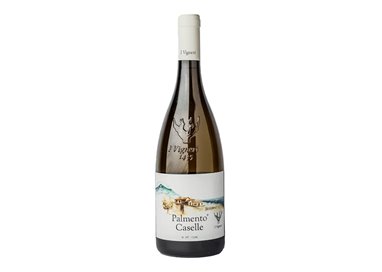I VIGNERI DI SALVO FOTI Societ… Semplice Agricola PALMENTO CASELLE-I Vigneri 2020