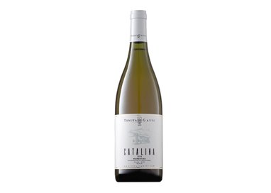 TENUTA GATTI di Gatti Russo Nicol…s EE  BIANCO Catalina ..-Tenuta Gatti 2024