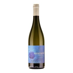PODERE IL CASTELLACCIO di Scappini Alessandro VERMENTINO COSTA TOSCANA Ardiglione-Podere 2024
