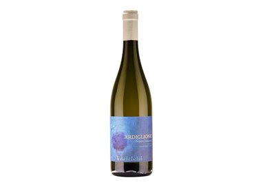 PODERE IL CASTELLACCIO di Scappini Alessandro VERMENTINO COSTA TOSCANA Ardiglione-Podere 2024