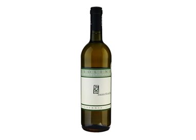 SASSOTONDO-AZIENDA AGRICOLA .LOGICA CARLA BENINI BIANCO DI PITIGLIANO SUPERIORE Vigna Isolina 2017