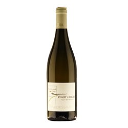 BALDESSARI MICHELA PINOT GRIGIO ..-Baldessari Michela 2023