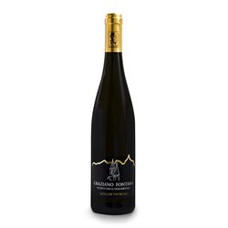 FONTANA GRAZIANO & C. Societ… Semplice  MULLER THURGAU-Fontana 2023