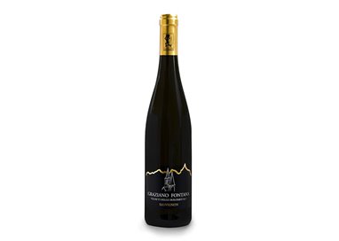 FONTANA GRAZIANO & C. Societ… Semplice  SAUVIGNON-Fontana 2023