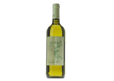 'NICOLODI ALFIO Az.Vinicola MULLER THURGAU Cembrani d''Autore-Nicolodi 2022'