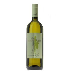 NICOLODI ALFIO Az.Vinicola MOSCATO GIALLO SECCO-Nicolodi 2021