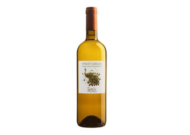 PRAVIS Azienda Agricola PINOT GRIGIO-Pravis 2023 0,375