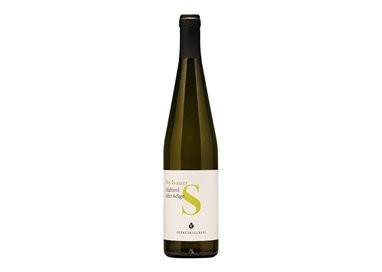 ROTTENSTEINER HANS Gmbh srl SYLVANER VALLE ISARCO-Petruskellerei 2023