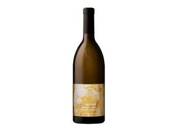 ROTTENSTEINER HANS Gmbh srl GEWURZTRAMINER Cancenai-Rottensteiner 2023