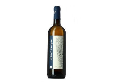 VINDIMIAN RUDI Azienda Agricola MULLER THURGAU-Vindimian 2020
